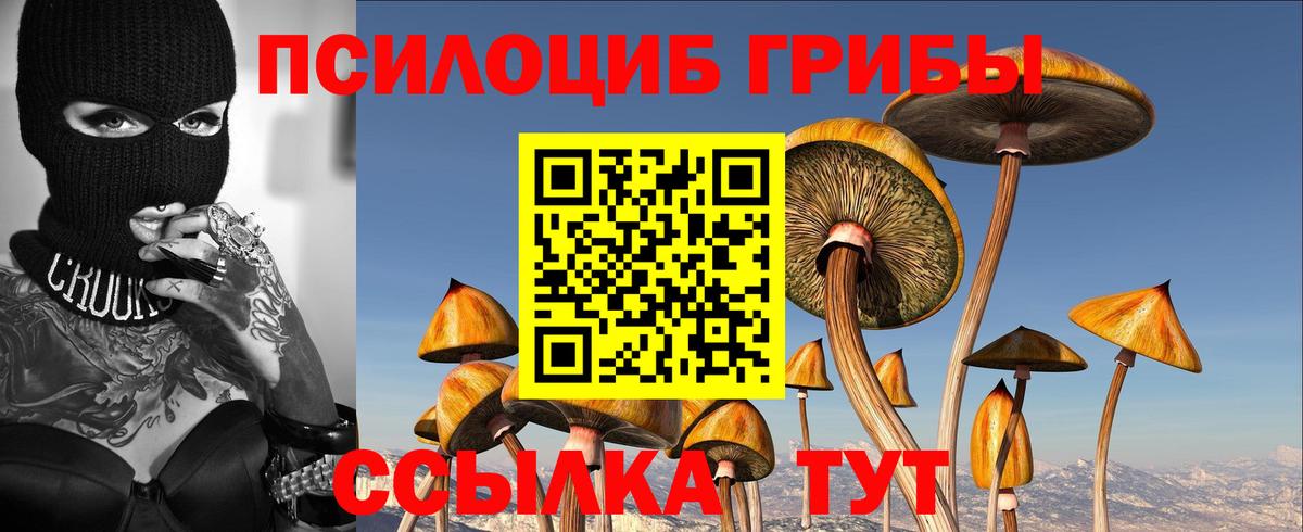 Галлюциногенные грибы мицелий Видное